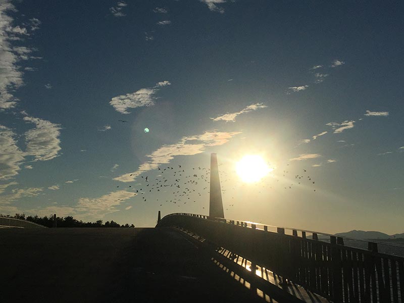 1506672537539591.jpg er.jpg